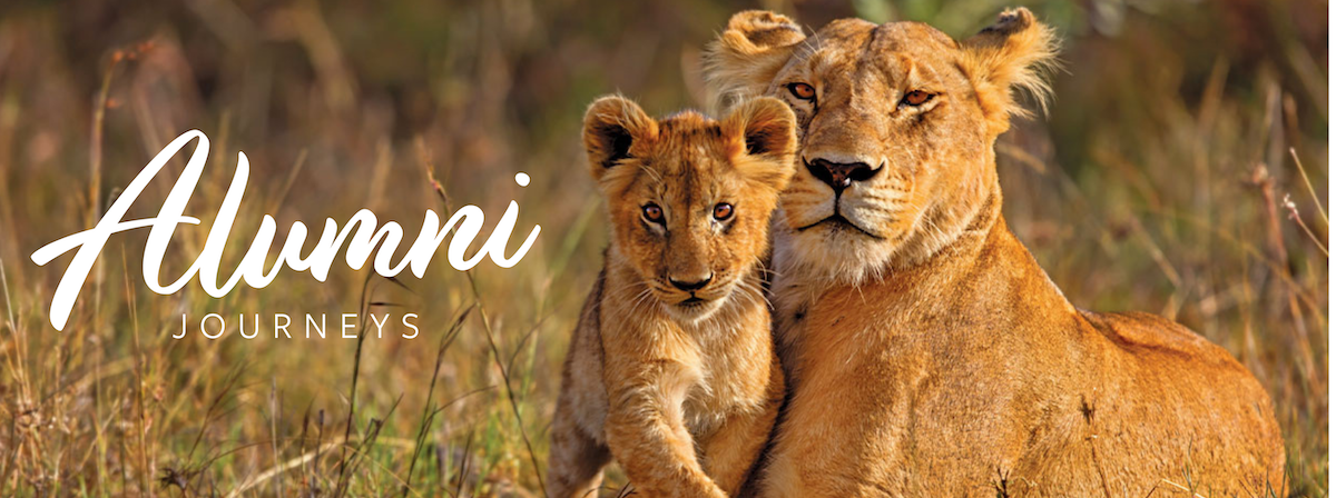 Alumni Journeys Header